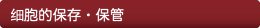 细胞的保存・保管
